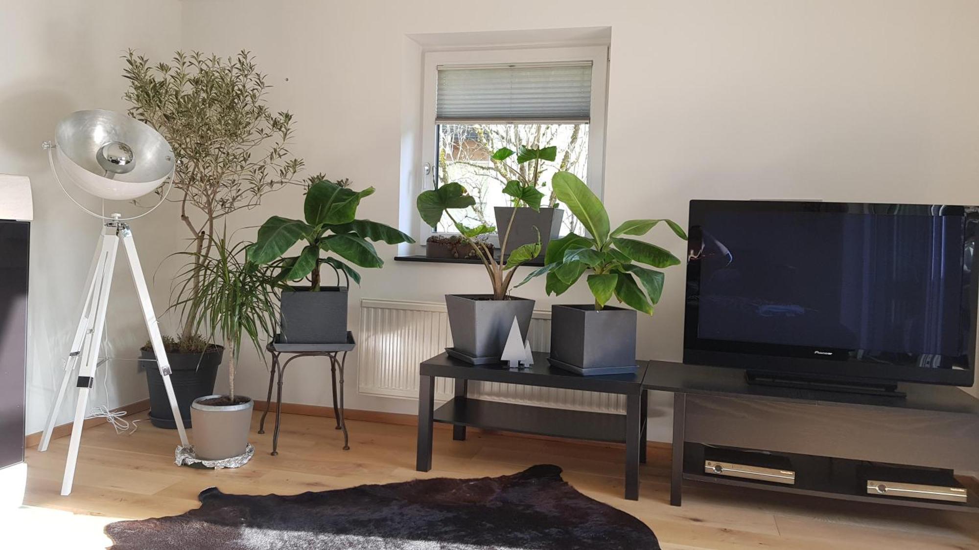 Jagd Trifft Moderne & Boutique Jardin Ferienhaus أنابيرغ ام لاميرتا المظهر الخارجي الصورة