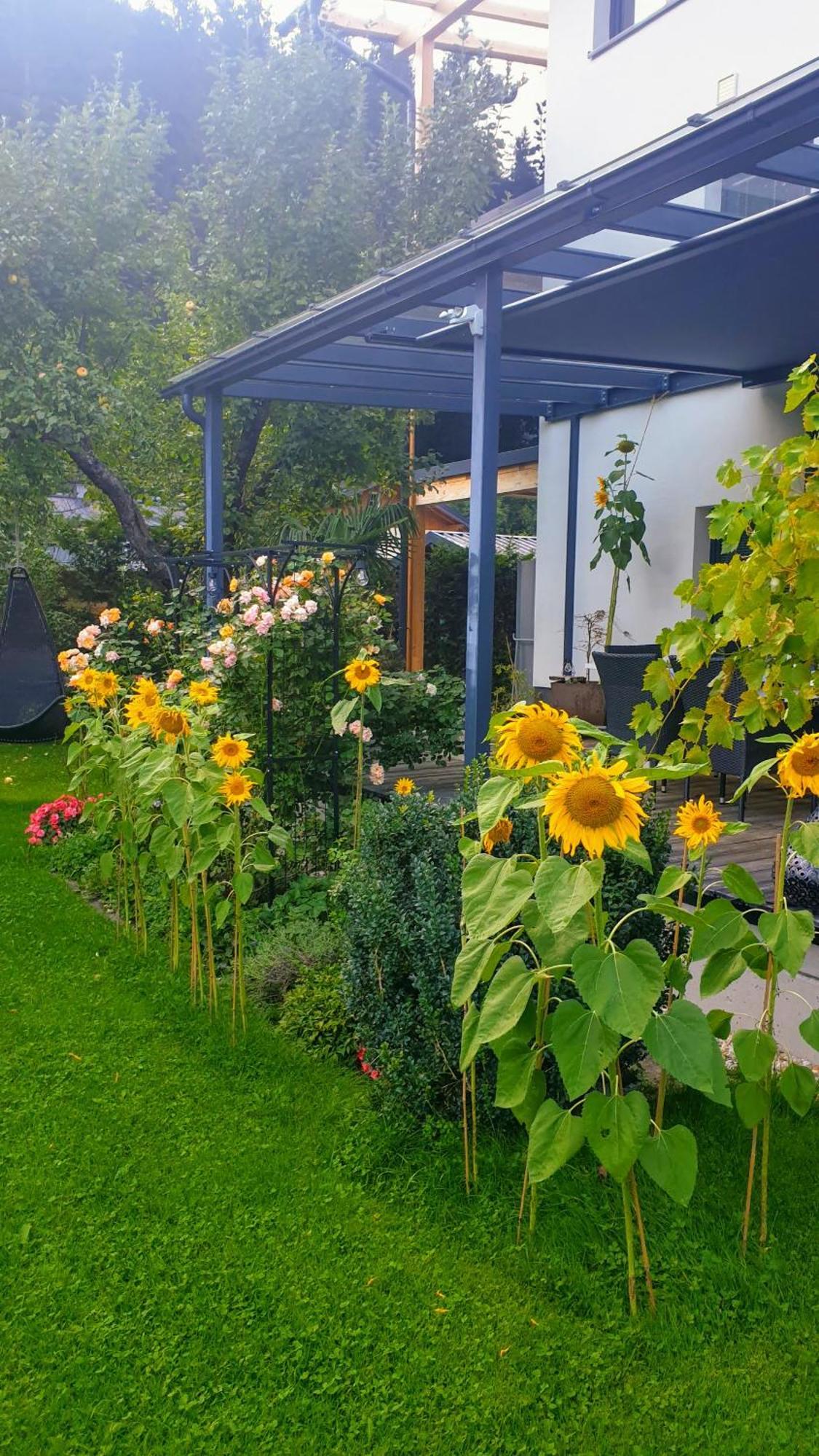 Jagd Trifft Moderne & Boutique Jardin Ferienhaus أنابيرغ ام لاميرتا المظهر الخارجي الصورة